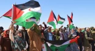 العدالة الاوروبية تنتصر للصحراء الغربية على حساب المغرب