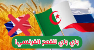 4 شركات روسية تدخل سوق الحبوب الجزائري .. نحو التخلي عن القمح الفرنسي
