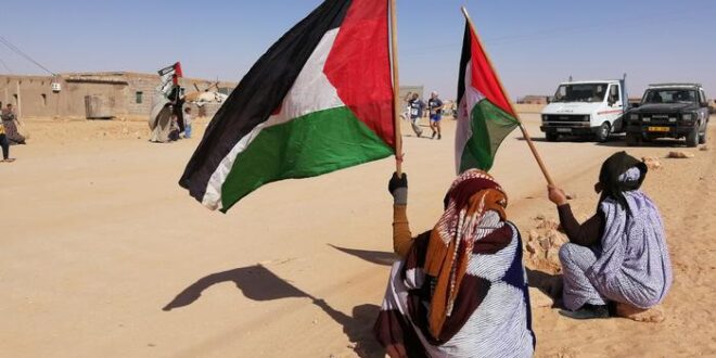 الجزائر ترد على ادعاءات النظام المغربي المشوهة للحقائق في الصحراء الغربية