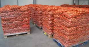 الجزائر تعود لاستيراد البطاطا لأول مرة منذ سنوات