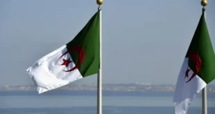 جزائريون يثورون ضد نظام المخزن المغربي .. إليك بعض ردود الفعل