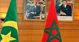 خبير موريتاني يفضح الملك محمد السادس