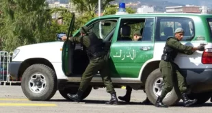الجزائر العاصمة .. الدرك الوطني يضع حدا لعصابة أحياء و يحجز أسلحة