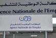 جديد منحة البطالة منصة رقمية جديدة بخصوص المنحة