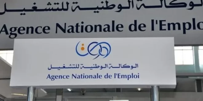 جديد منحة البطالة: منصة رقمية جديدة بخصوص المنحة