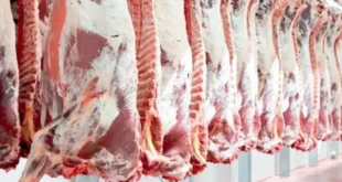 الجزائرية للحوم الحمراء تسويق ما يقارب 390 طنا من اللحوم الحمراء