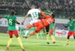 مفاجأة مدوية.. لماذا لم يصدر الفيفا قراره النهائي في قضية مباراة الجزائر والكاميرون؟