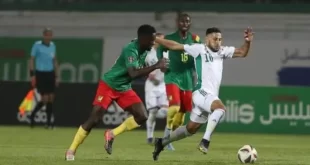 الاتحادية الدولية لكرة القدم (فيفا) تصدم الكاميرون.. وتبعث أمل جديد للجزائريين