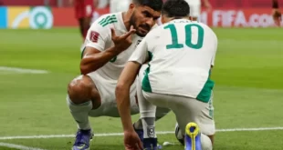 بريست يستهدف نجما جديدا من المنتخب الجزائري