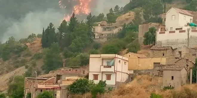 سطيف: 3 قتلى و11 جريحا في حريق مهول شب بغابات حربيل