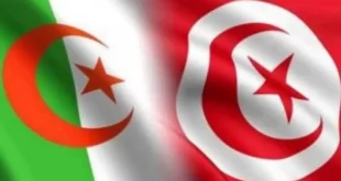 وزير السياحة اتفاق تونسي جزائري لتسهيل حركة المسافرين بين البلدين