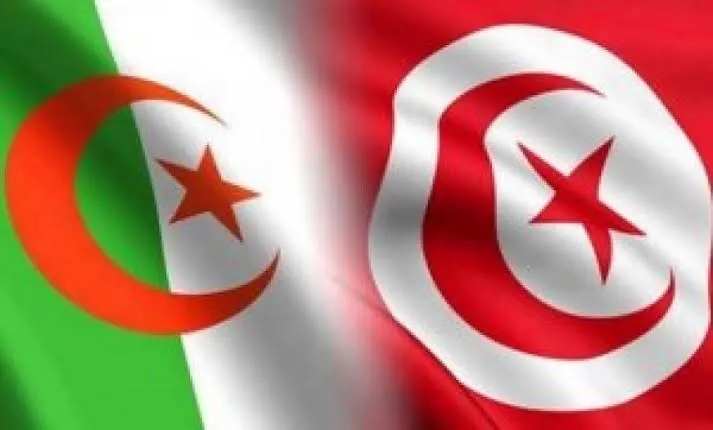 وزير السياحة اتفاق تونسي جزائري لتسهيل حركة المسافرين بين البلدين