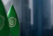 جامعة الدول العربية: لا يوجد توافق كامل على عودة عضوية سوريا