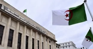 المحكمة الدستورية نائب جديد في البرلمان