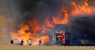 تنصيب لجنة ولائية لحصر وإحصاء الخسائر الناجمة عن الحرائق الأخيرة بولاية الطارف
