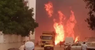 دول وهيئات عربية وأجنبية تعزي الجزائر في ضحايا الحرائق التي شهدها عدة ولايات