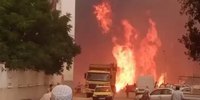 ولاية الطارف: وكيل الجمهورية يصدر بيانا هاما