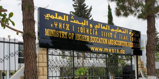 وزارة التعليم العالي والبحث: كيفية الحصول على شهادة جامعية – مؤسسة ناشئة