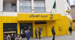 مؤسسة بريد الجزائر تعلن عن تحديث جديد لتطبيق “بريدي موب”