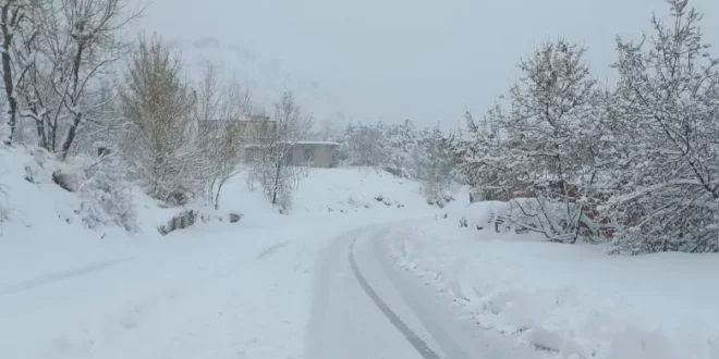 الارصاد الجوية: موجة برد قطبية وثلوج كثيفة تجتاح عدة ولايات