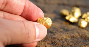 وزارة الطاقة: استخراج 245 كلغ من الذهب في ولاية إن قزام