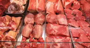 وزير الفلاحة أسعار اللحوم المستوردة لن تتعدى 1200 دج