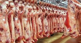 استيراد 20 ألف طن من اللحوم الحمراء تحسبا لشهر رمضان