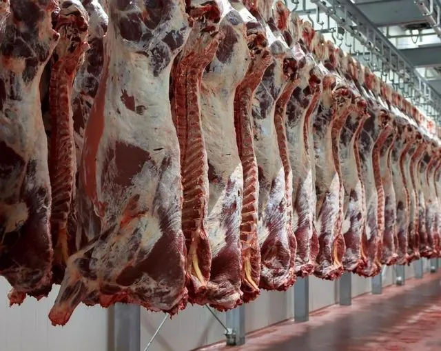 إبطال اتفاقيات جزارين خواص يخالفون أسعار بيع اللحوم