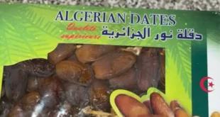 تمور الجزائر هي الأكثر طلبا في السوق المغربي على عكس الاعتقاد الشائع