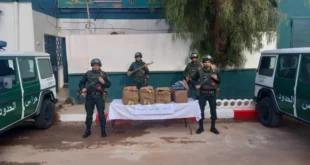 حجز أزيد من 18 قنطار مخدرات أدخلت من الحدود المغربية الجزائرية