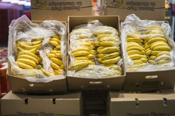 وزير التجارة رفع حصص استيراد الموز وهذه أسباب ارتفاع أسعاره