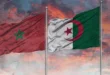 المضي قدماً في التطبيع قد يؤدي إلى حرب مع الجزائر