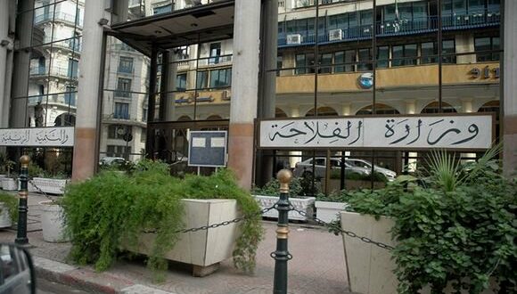 بيان من وزارة الفلاحة حول أسعار مواد تغذية الأنعام