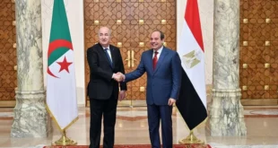 مصر والجزائر يعقدان مباحثات لإنشاء كابلين بحريين جديدين وتعزيز التعاون التكنولوجي