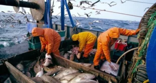 انتهاء اتفاقية الصيد البحري بين المغرب والاتحاد الأوروبي بعد جدل وصراع قضائي