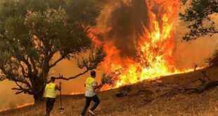 حالة تأهب قصوى في مكافحة حرائق الغابات بسبب ارتفاع درجات الحرارة