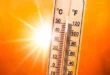 موجة حر شديدة تضرب عدة ولايات في الوطن بدرجات حرارة تصل إلى 48 درجة مئوية