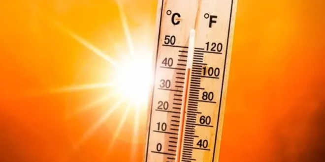 موجة حر شديدة تضرب عدة ولايات في الوطن بدرجات حرارة تصل إلى 48 درجة مئوية