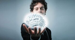 تأثير القيلولة على صحة الدماغ والصحة المعرفية الدراسات تكشف الفوائد المحتملة