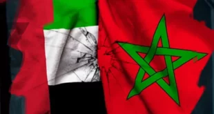 تصاعد التوترات الدبلوماسية المسؤولون الإماراتيون يستمرون في تحركات استفزازية تجاه الجزائر