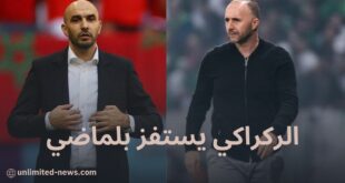تصريحات وليد الركراكي تثير جدلاً حول آمال المنتخب الجزائري في كأس أمم إفريقيا 2024
