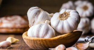 فوائد الثوم تحسين صحة القلب، دعم المناعة، تخفيض الوزن والكوليسترول، وزيادة الطاقة