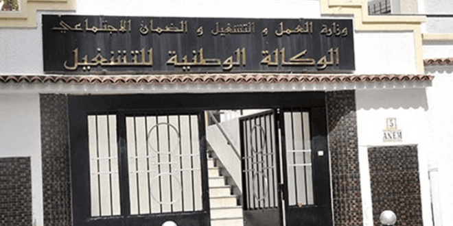 تحديث موعد منحة البطالة: الوكالة الوطنية للتشغيل تسبق المواعيد بسبب عطلة المولد النبوي