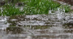 تحذير من تساقط أمطار في عدة ولايات السبت