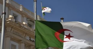 مساعدة طارئة من الجزائر للمغرب بعد زلزال عنيف تفاصيل المخطط والمساعدات الإنسانية