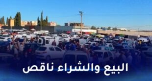 أسعار السيارات المستعملة في الجزائر تشهد استقرارًا مع دخول السيارات الجديدة
