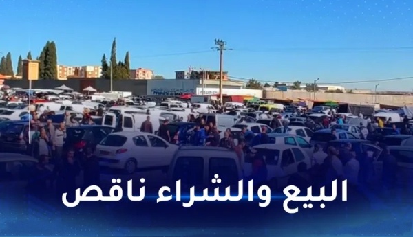 أسعار السيارات المستعملة في الجزائر تشهد استقرارًا مع دخول السيارات الجديدة