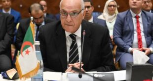 وزير الخارجية الجزائري يشارك في جلسة مجلس الأمن حول التطورات في قطاع غزة
