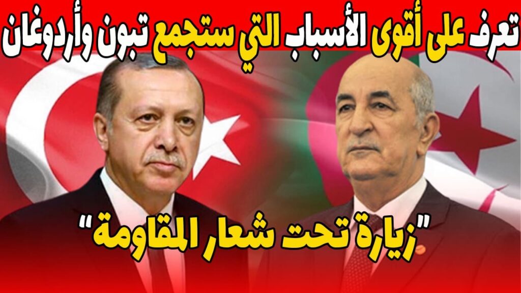 زيارة الرئيس التركي إلى الجزائر توترات إقليمية وتحالفات ضد الصهيونية تثير تساؤلات دولية