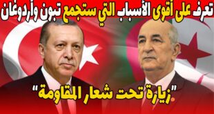 زيارة الرئيس التركي إلى الجزائر توترات إقليمية وتحالفات ضد الصهيونية تثير تساؤلات دولية